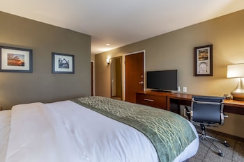 comfort inn and suites harrisburg airport hershe