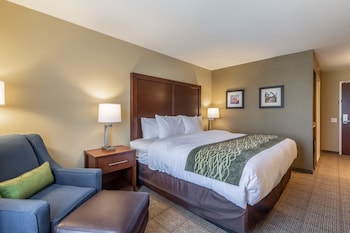 comfort inn and suites harrisburg airport hershe
