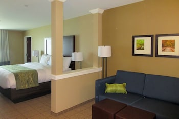 comfort inn and suites harrisburg airport hershe
