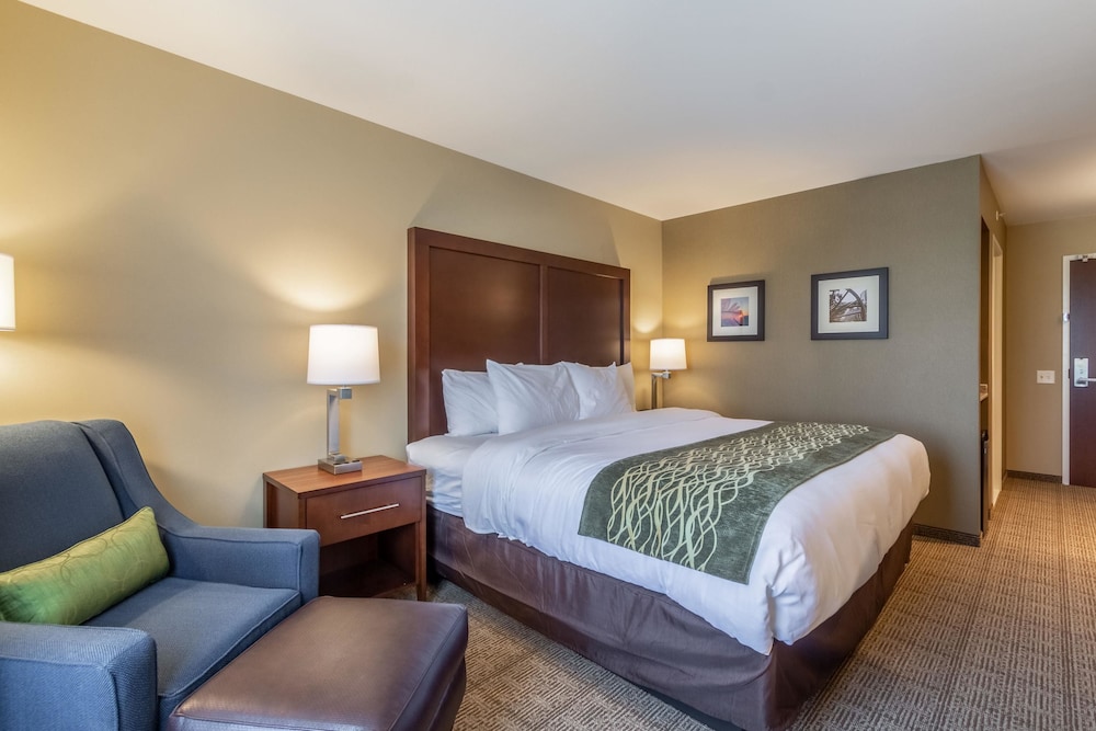 comfort inn and suites harrisburg airport hershe
