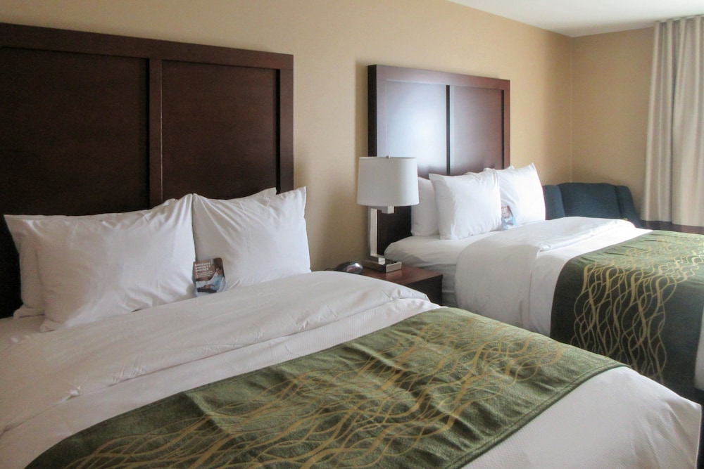 comfort inn and suites harrisburg airport hershe