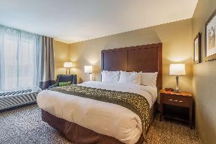 comfort inn and suites harrisburg airport hershe