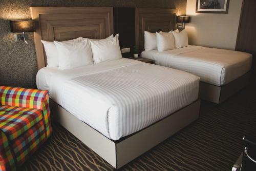 hilton garden inn leon