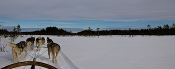 the lodge torsby