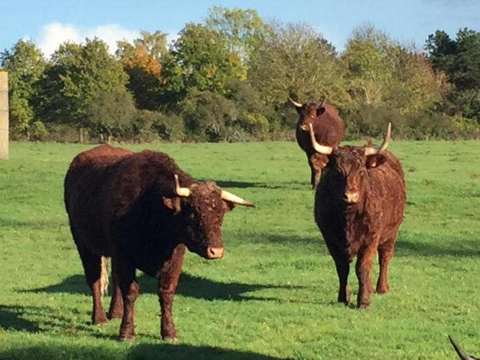 la musardine en vexin