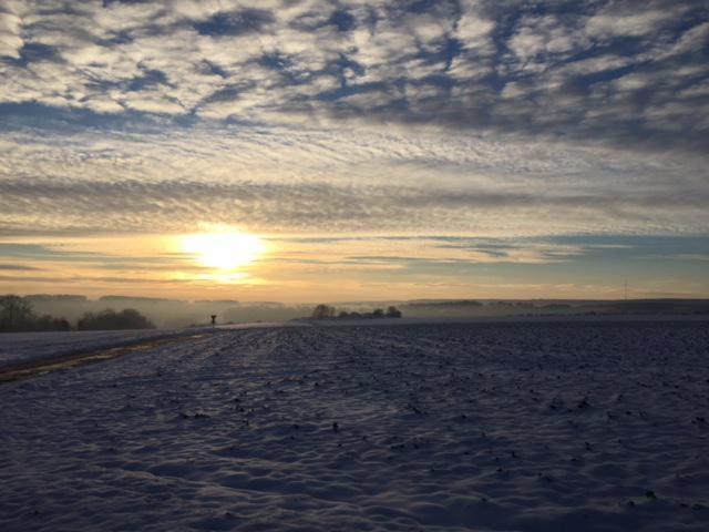 la musardine en vexin