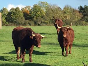 la musardine en vexin