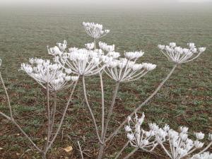 la musardine en vexin