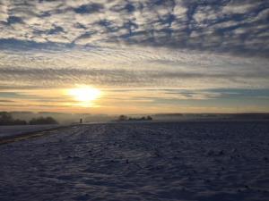 la musardine en vexin