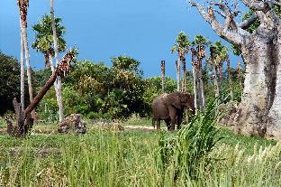 home2 suites by hilton orlando south park