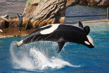 home2 suites by hilton orlando south park