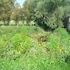 chateau des roises