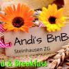 andis bnb