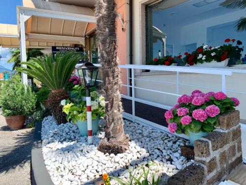 the lighthouse rooms