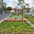 sopron