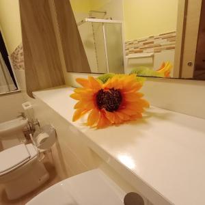 castelnuovo di porto