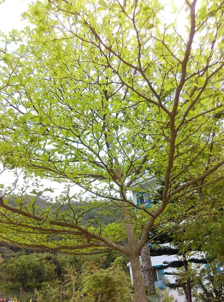 nanzhuang