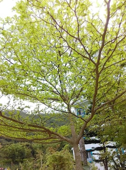 nanzhuang