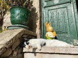 le clos saint georges
