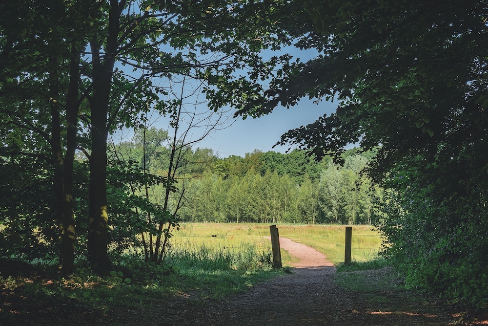 eibergen