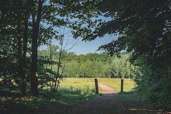 eibergen