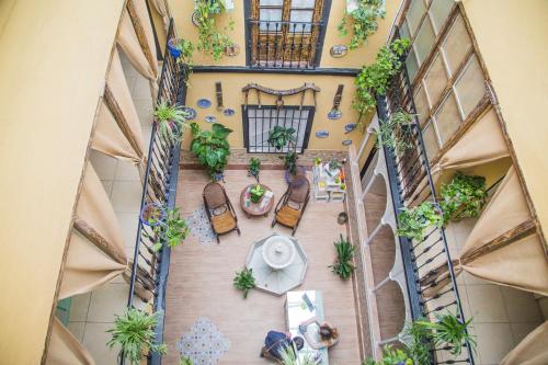 pension internacional