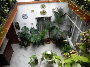 pension internacional