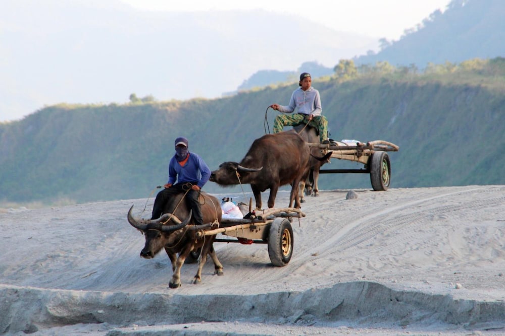 bognot lodge alvin bognot mt pinatubo guesthouse and tours