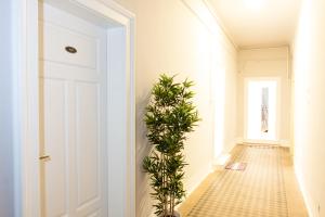 tesla boutique apartments and rooms