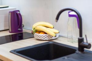 tesla boutique apartments and rooms