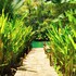 loboc