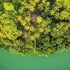 water to forest ecolodge