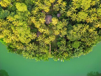 water to forest ecolodge