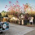 antema lodge