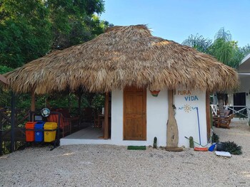 tamarindo