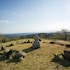vida mountain resort and spa adults only