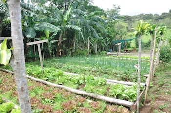 vida mountain resort and spa adults only