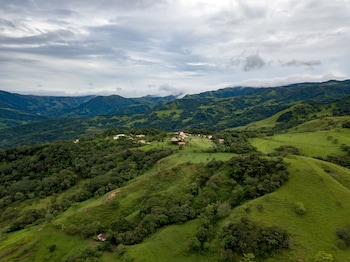 piedades sur