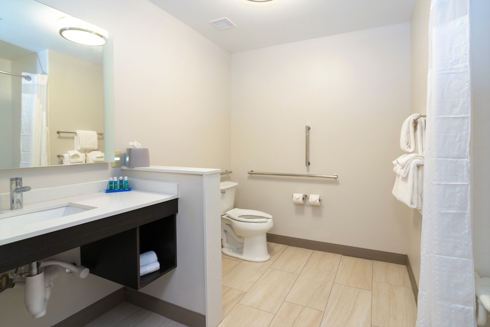 holiday inn express and suites allen park an ihg hotel