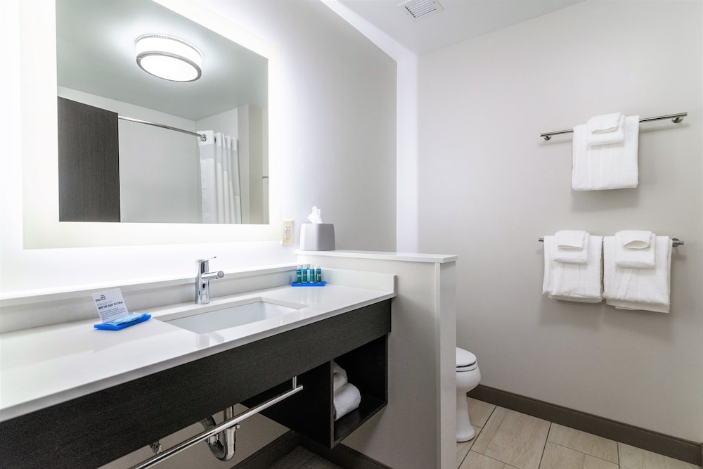 holiday inn express and suites allen park an ihg hotel