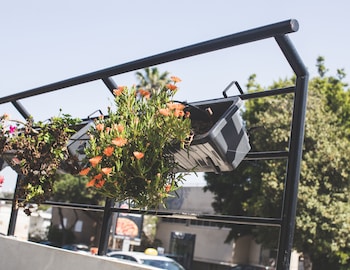 Carmel Boutique,Panorama Street>>Haifa,0 star