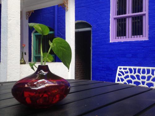 rose heritage home