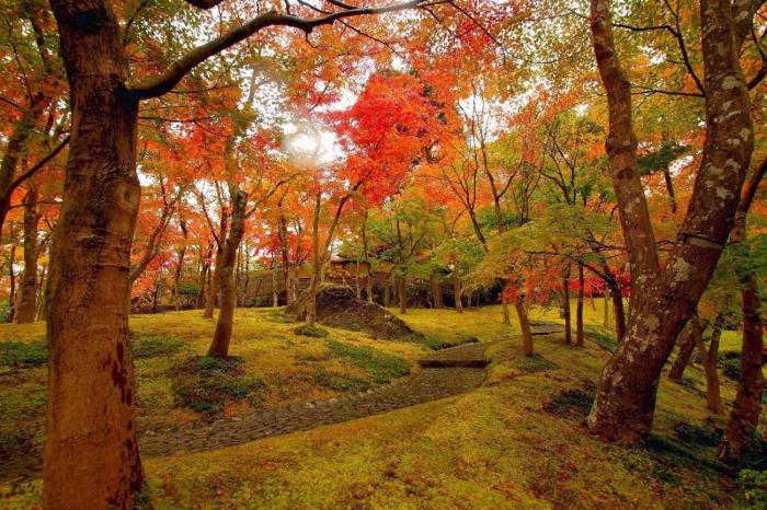 jemsty inn hakone ashinoko