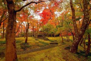 jemsty inn hakone ashinoko