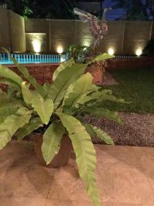 artisan villa colombo