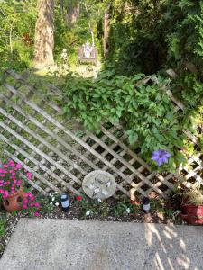 hillcrest bed and breakfast
