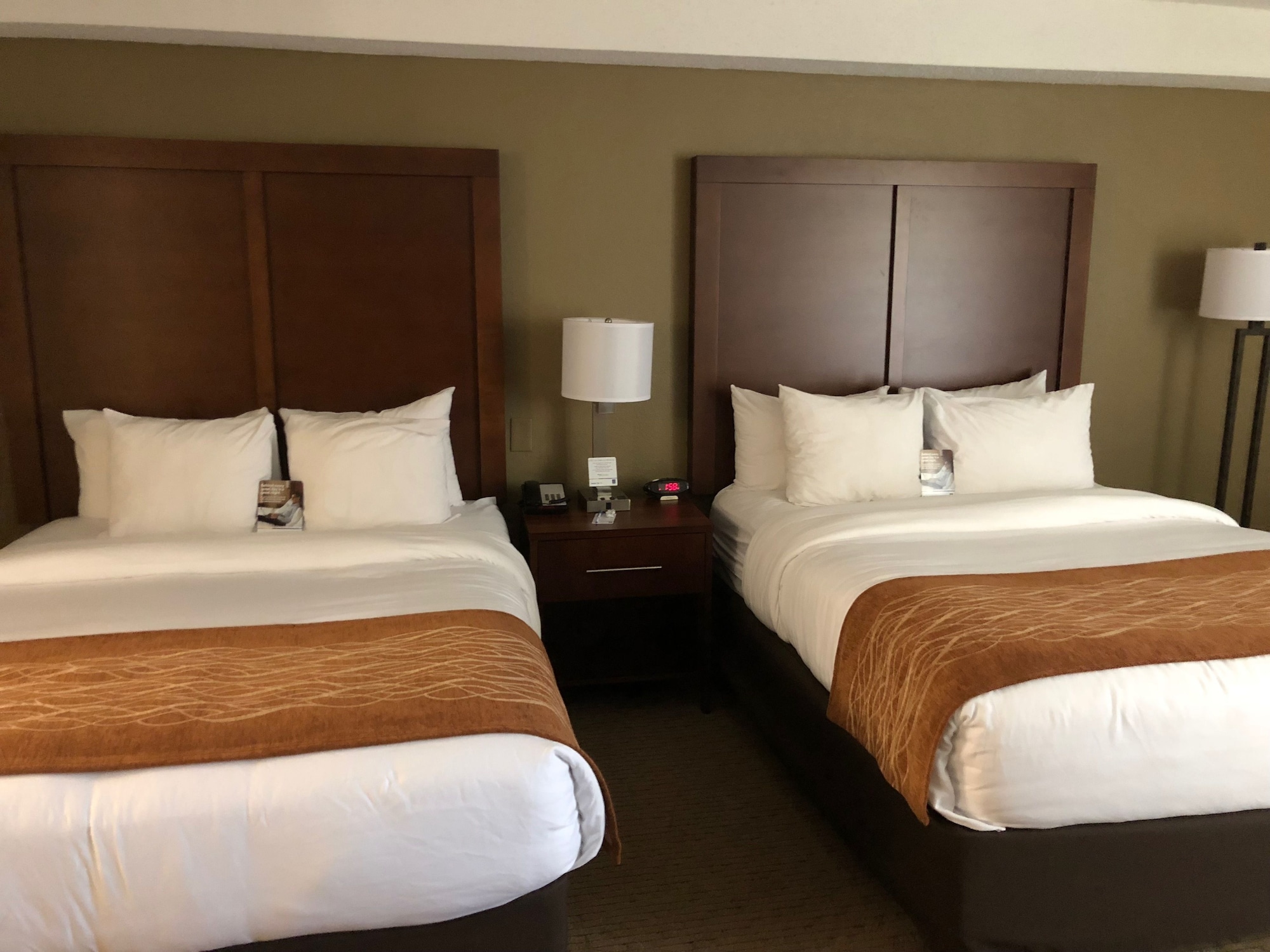 Comfort Inn & Suites Near Danville Mall,Virginia>>Danville,2.5 star