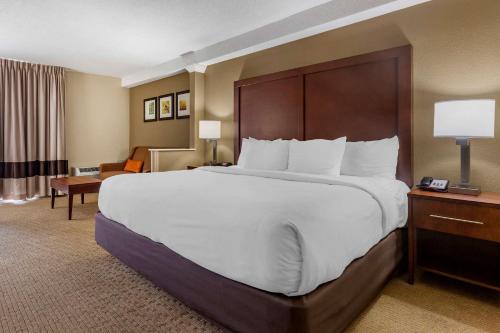comfort inn and suites near danville mall