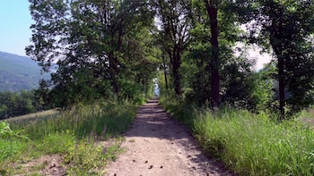 sacreterre room and breakfast