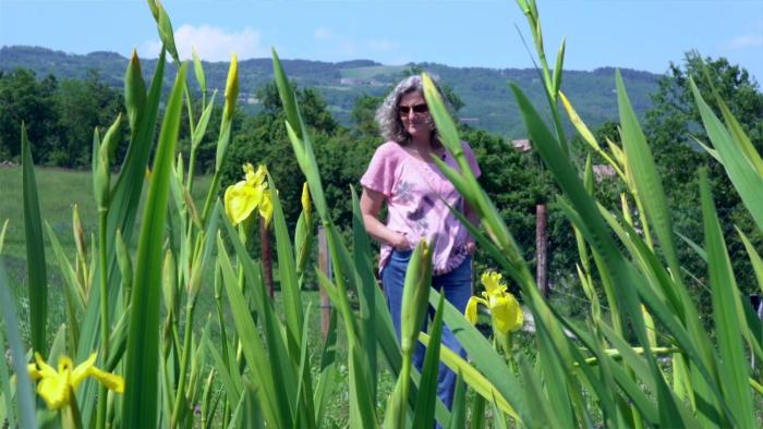 sacreterre room and breakfast